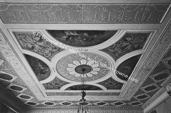 BLUE DRAWING ROOM CEILING